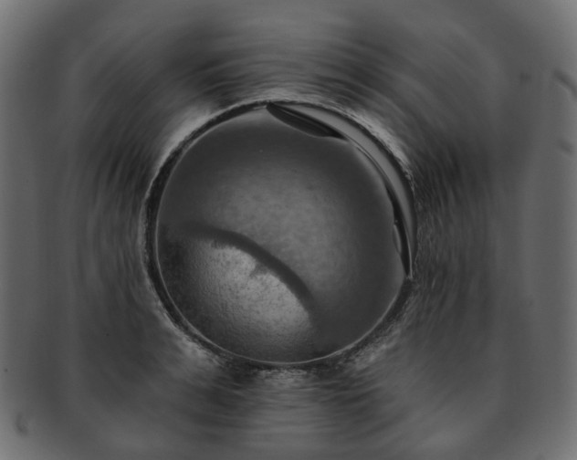 X0000093220991200710031436