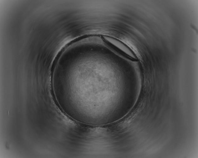 X0000093220992200710031436