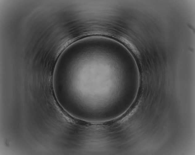 X0000093220993200710031436