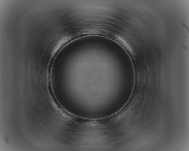 X0000093220994200710031436