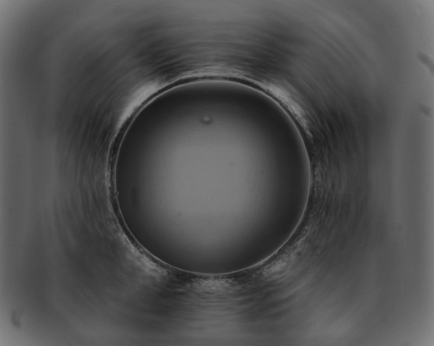 X0000093220998200710031436