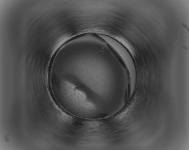 X0000093220999200710031436