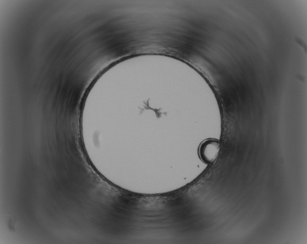 X0000093221000200710031436