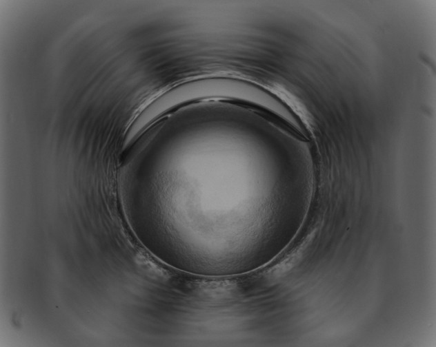 X0000093221001200710031436