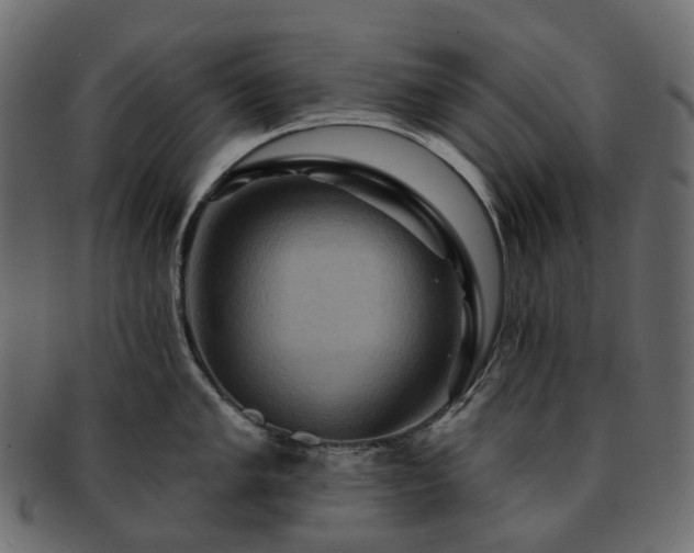 X0000093221005200710031436