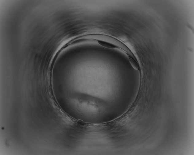 X0000093221008200710031436