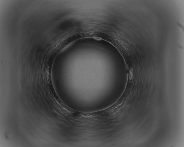 X0000093221011200710031435