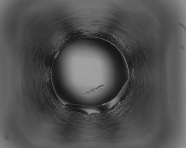 X0000093221012200710031435