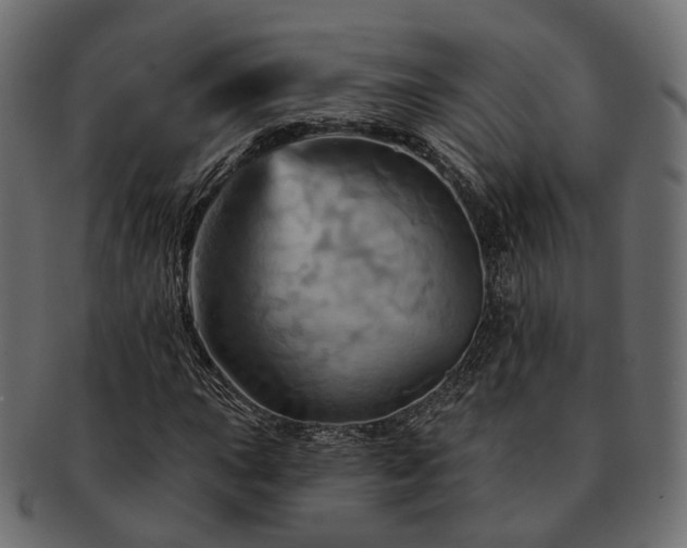 X0000093221015200710031435