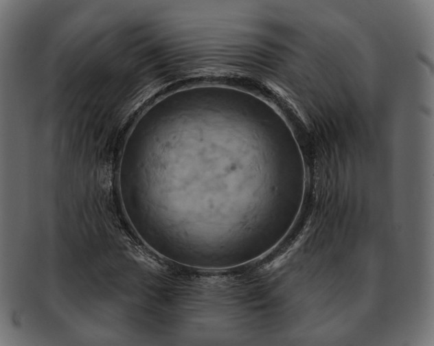 X0000093221017200710031435