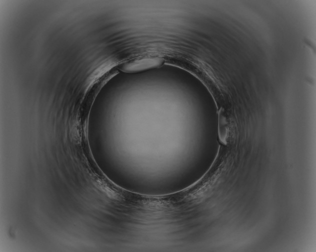 X0000093221018200710031435