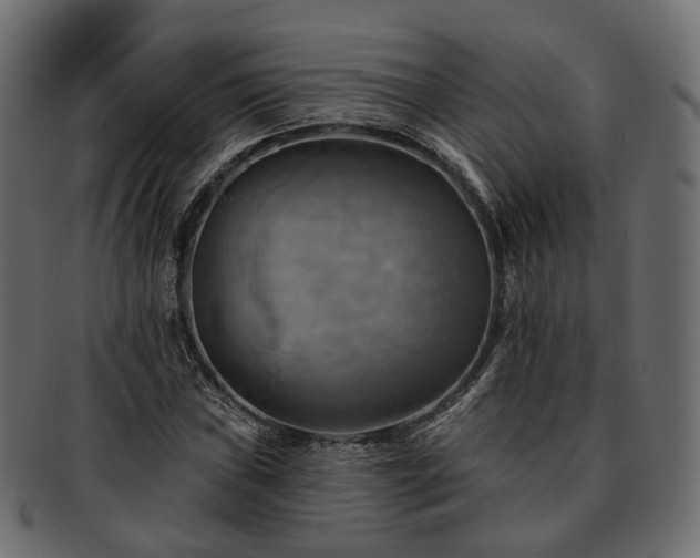 X0000093221019200710031435