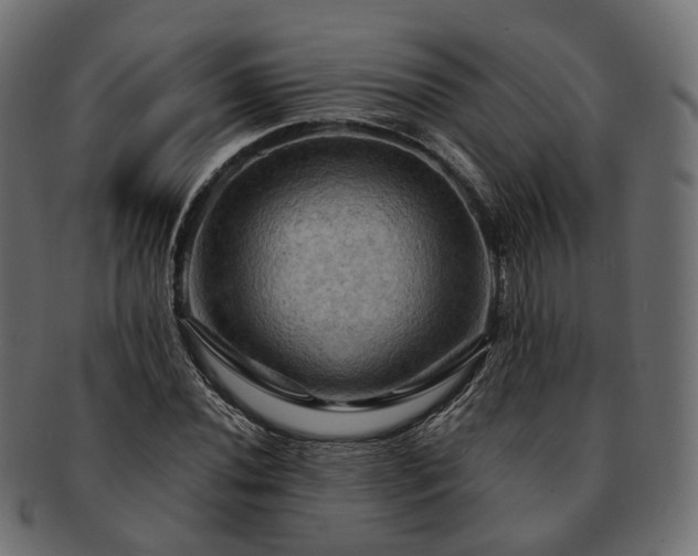 X0000093221020200710031435