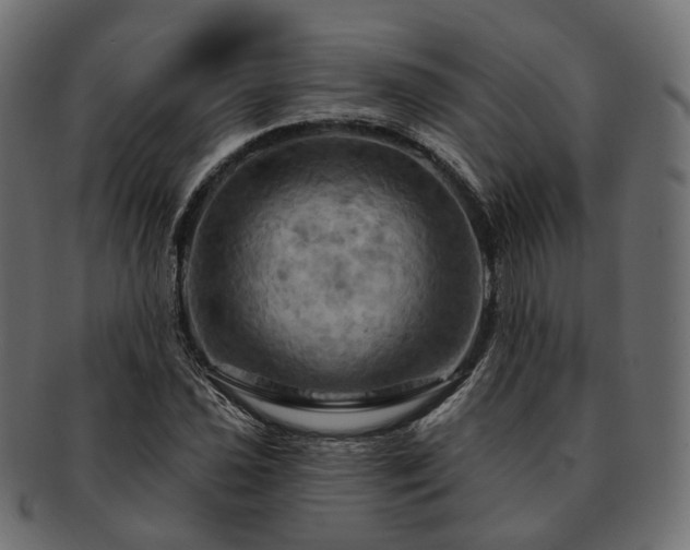 X0000093221021200710031435