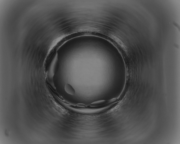 X0000093221022200710031435