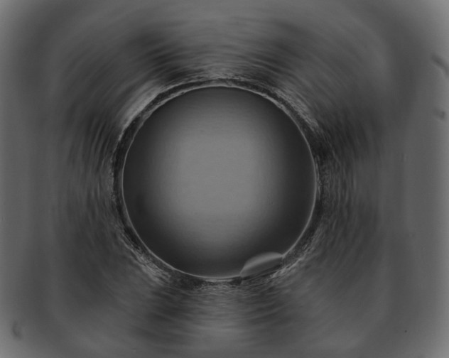 X0000093221023200710031435