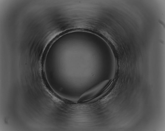 X0000093221024200710031435