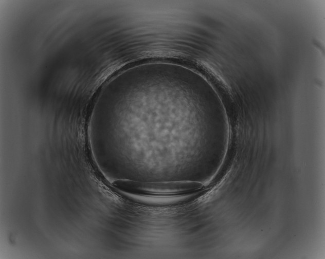 X0000093221025200710031435