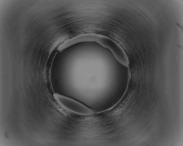 X0000093221026200710031435