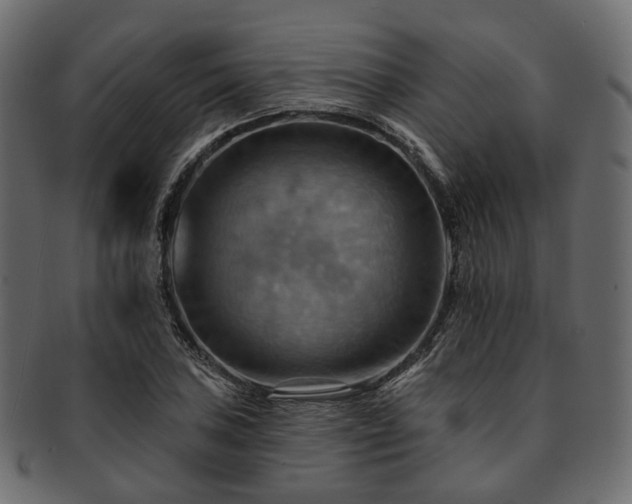 X0000093221027200710031435