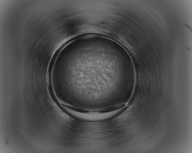 X0000093221028200710031435