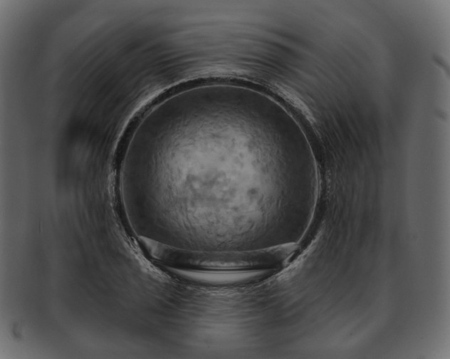 X0000093221029200710031435