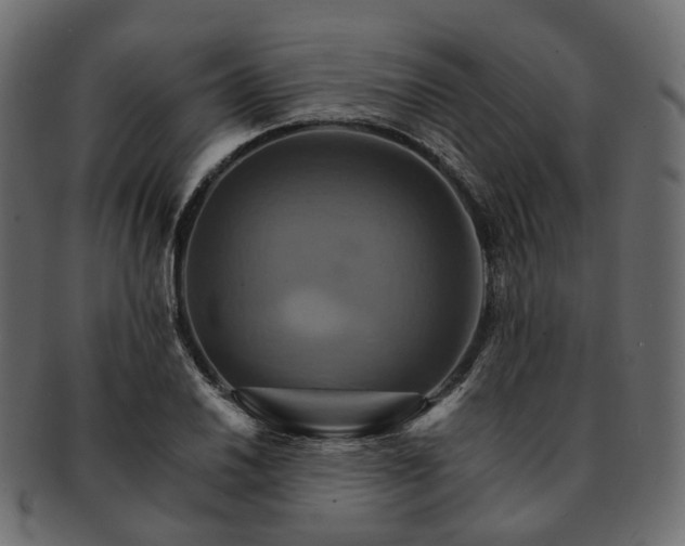 X0000093221030200710031435