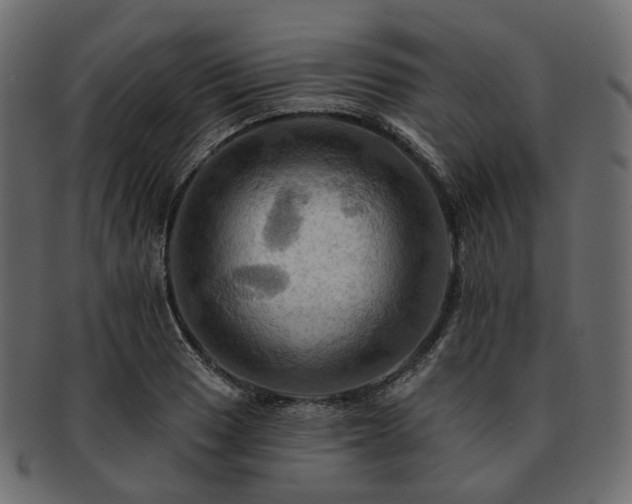 X0000093221033200710031435