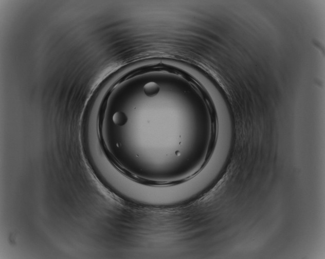 X0000093221034200710031435