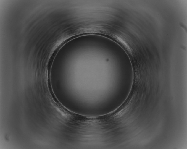 X0000093221035200710031435