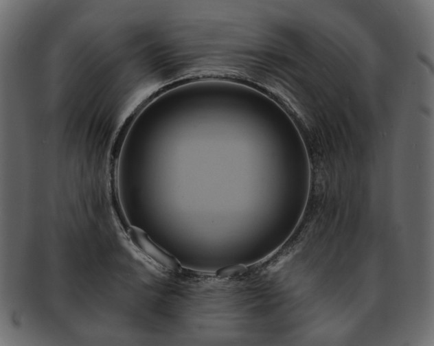 X0000093221038200710031435