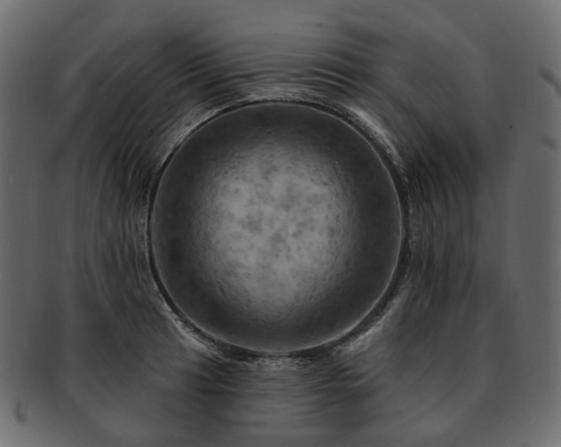 X0000093221041200710031435