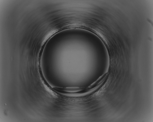 X0000093221042200710031435