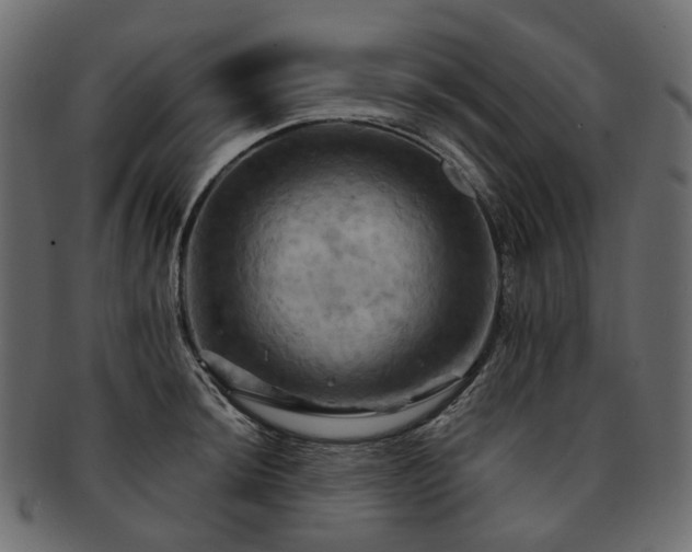 X0000093221044200710031436