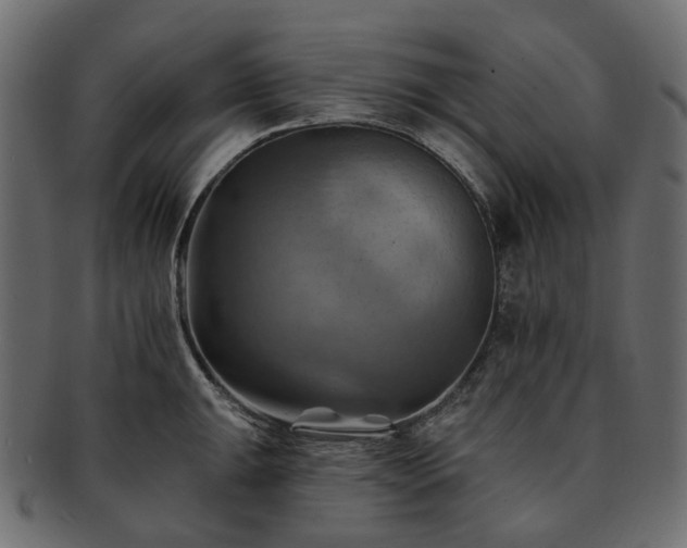 X0000093221047200710031436