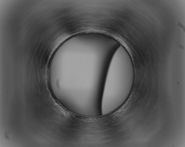 X0000093221048200710031436