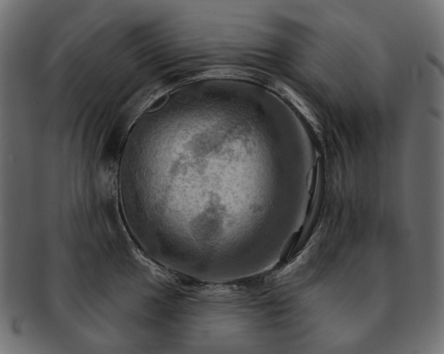 X0000093221049200710031436