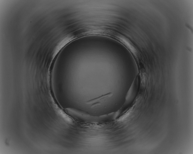 X0000093221050200710031436