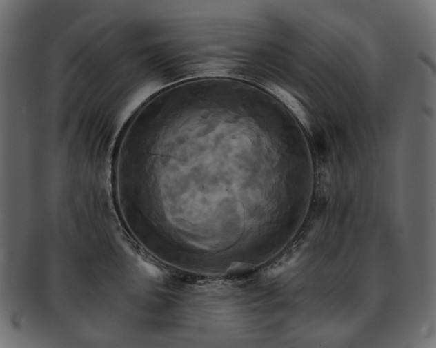 X0000093221051200710031436