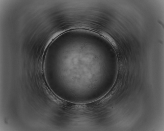 X0000093221052200710031436