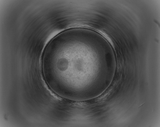 X0000093221053200710031436