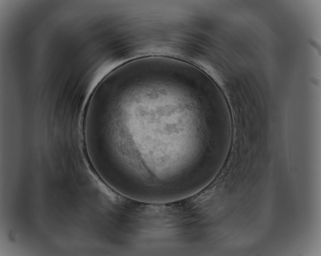 X0000093221056200710031436