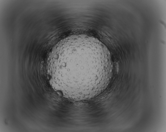 X0000093221059200710031435