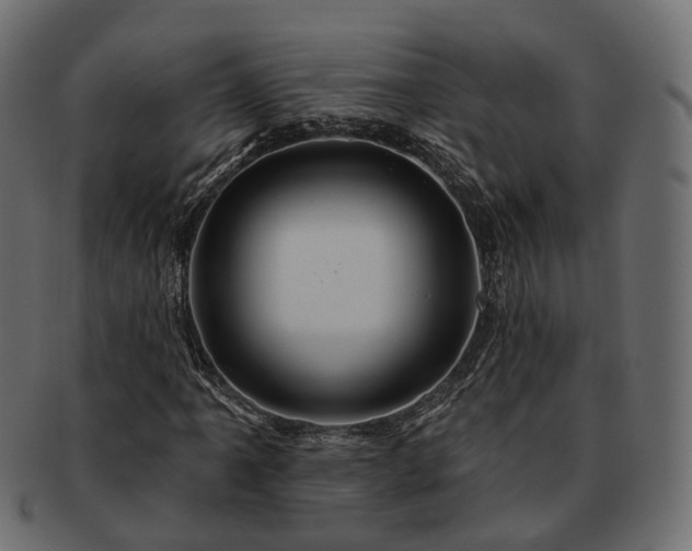 X0000093221061200710031435