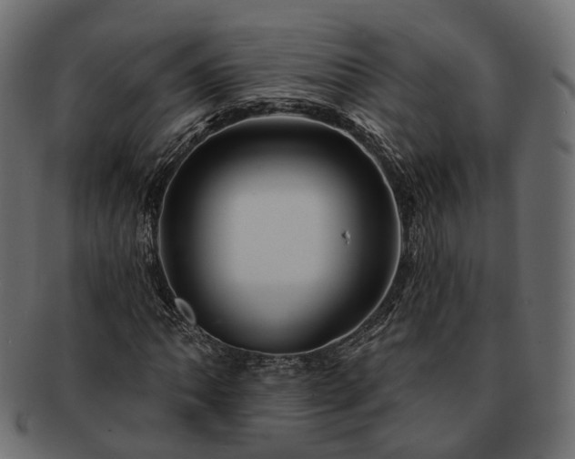 X0000093221062200710031435