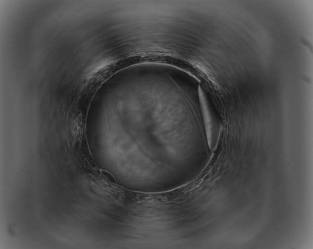 X0000093221063200710031435