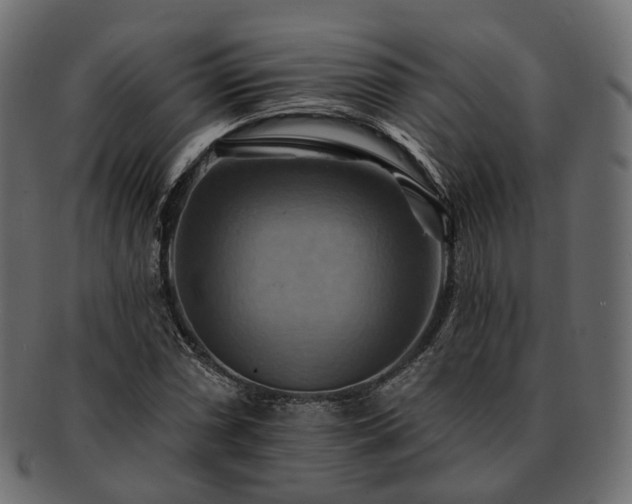 X0000093221066200710031435