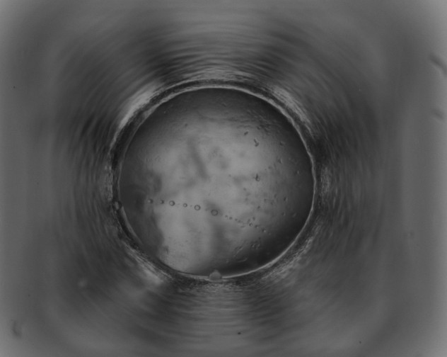 X0000093221067200710031435