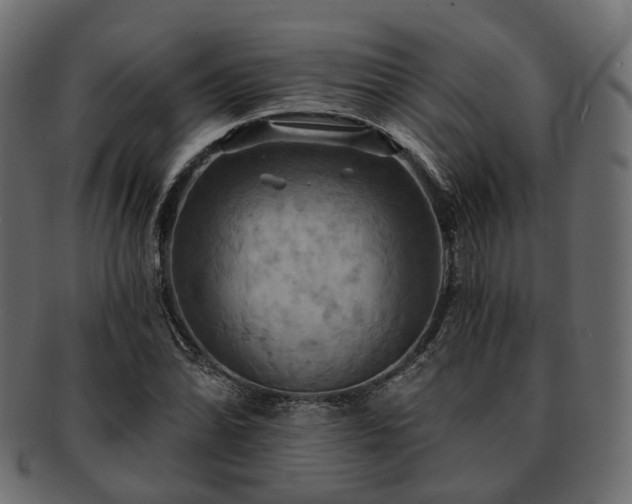 X0000093221070200710031435