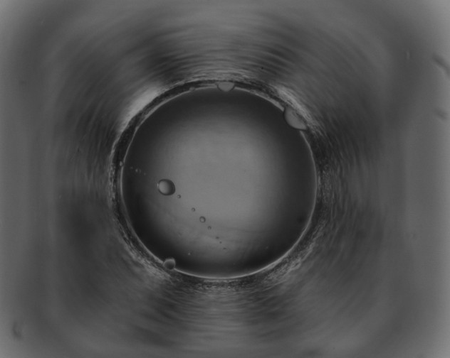 X0000093221071200710031435